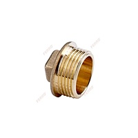 BRASS PLUG M FERRO