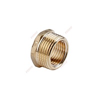 BRASS REDUCTION BUSH FERRO