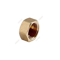BRASS PLUG F FERRO