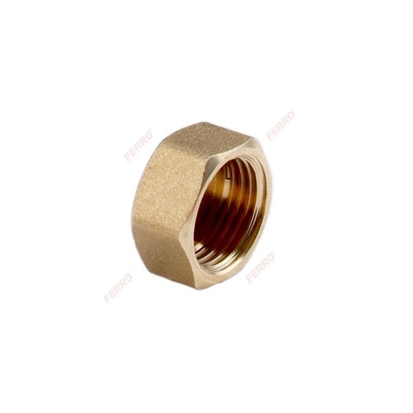 BRASS PLUG F FERRO